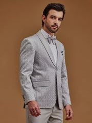Single Breasted Textured Grey Suit